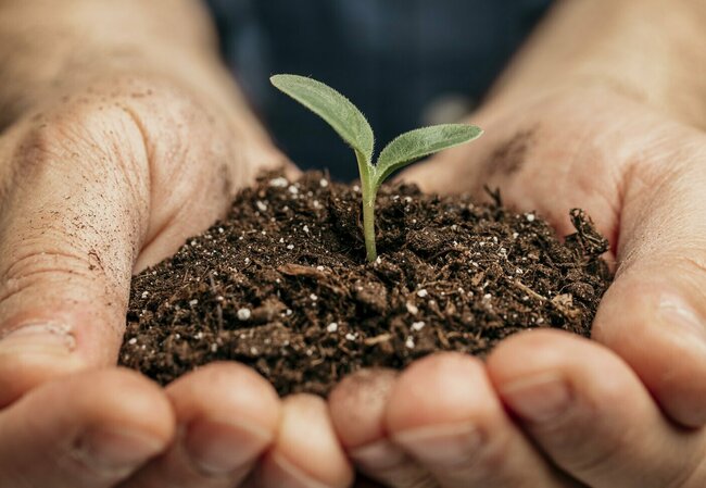 Du compost pour vos jardins !   