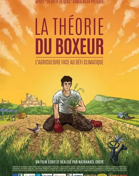 Séance de ciné-discussion : LA THÉORIE DU BOXEUR